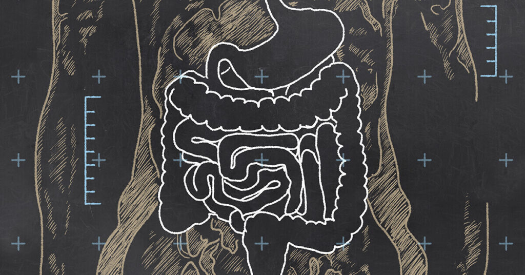 Digestion