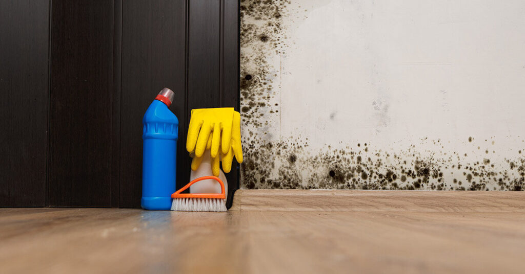Mold